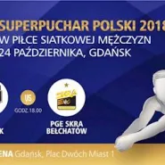 Siatkówka mężczyzn: TREFL Gdańsk - PGE Skra Bełchatów