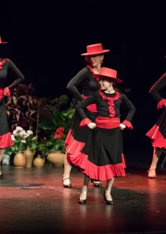 Wieczór hiszpański - Flamenco