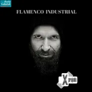 X-Projekt Flamenco Industrial