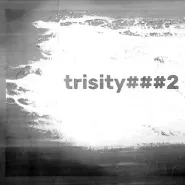 Trisity vol. 2 - Trójmiejski Festiwal Sitodruku