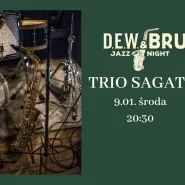 DEW & BRU jazz night - trio SaGaTo