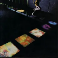 The Pleasure of Light. György Kepes i Frank J. Malina na skrzyżowaniu sztuki i nauk