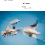 Malowane Ptaki / Wernisaż Fotografii / Piotr Żagiell