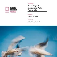 Malowane Ptaki / Wystawa Fotografii / Piotr Żagiell