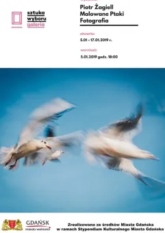 Malowane Ptaki / Wystawa Fotografii / Piotr Żagiell