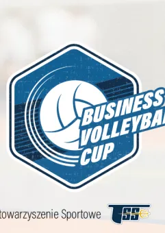 Business Volleyball Cup