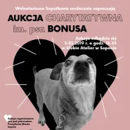 Aukcja Charytatywna im. psa Bonusa