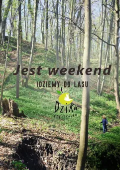 Idziemy do lasu zimą