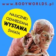 Wystawa Body Worlds 