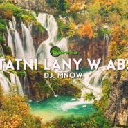 Ostatni lany w Absie: DJ MNOW