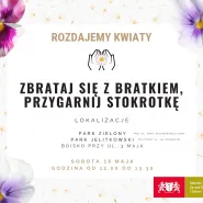 Zbrataj się z bratkiem, przygarnij stokrotkę
