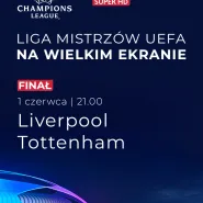 Finał Ligi Mistrzów UEFA