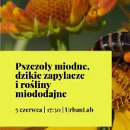Pszczoły miodne, dzikie zapylacze i rośliny miododajne