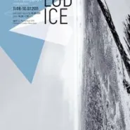 Kompozycje (Lód) - Magda Hueckel - wernisaż