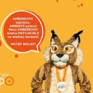 AmberExpo i Przyjaciele - Wielki Festyn Rodzinny