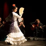 Koncert finałowy flamenco