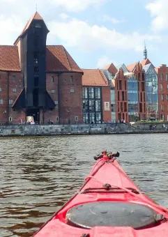 Zapuść żurawia kajakiem do Gdańska