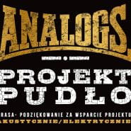 The Analogs - Projekt Pudło
