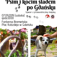 Spacer psim i kocim śladem po Gdańsku