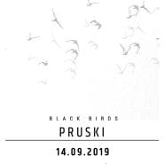 Pruski - koncert