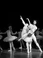 Royal Lviv Ballet - Romeo i Julia