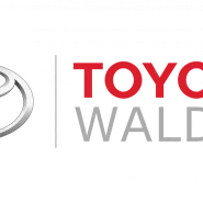 Toyota Walder: Dni Otwarte Wyprzedaży