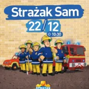 Filmowe Poranki: Strażak Sam, cz. 14