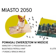 Pomagaj zwierzętom w mieście / Miasto 2050