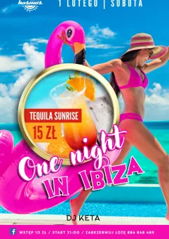 One night in Ibiza
