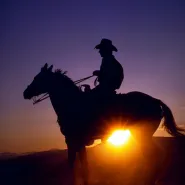 We Love Country Music