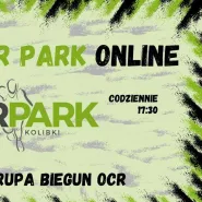Trening OCR PARK online