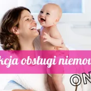 Instrukcja obsługi niemowlaka - pierwsze 3 miesiące życia dziecka - online