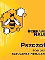 #CiekawiNauki - Pszczoły pod okiem sztuc