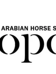 Sopot Arabian Horse Show 2020