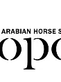 Sopot Arabian Horse Show 2020