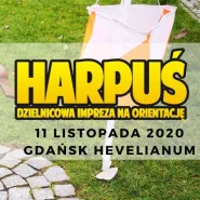Harpuś - z mapą do Hevelianum!