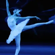 Balet Bolszoj. Letnie powtórki 2020: Jezioro łabędzie