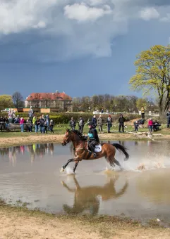 Międzynarodowe Zawody WKKW Eventing Sopot Horse Show