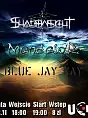Blue Jay Way, Mandalor, Shadowlight