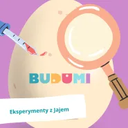 BUDU Lab - Eksperymenty z jajem