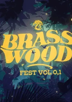 BrassWoodFest - L.U.C, Sarsa i orkiestry dęte