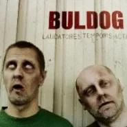 Buldog