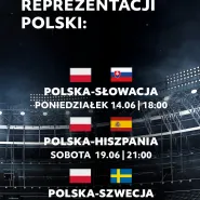 Transmisja meczów Euro 2020: Polska - Słowacja
