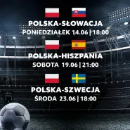 Transmisja meczów Euro 2020: Polska - Szewcja