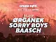 Open'er Park -  Organek / Sorry Boys / Baasch