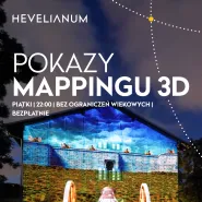 Pokaz mappingu 3D