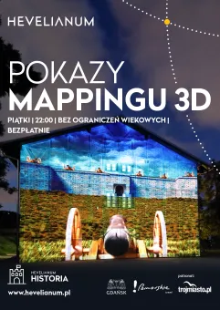 Pokaz mappingu 3D