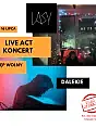 LASY LIVE (Stendek / wh0wh0) & DALEKIE LIVE