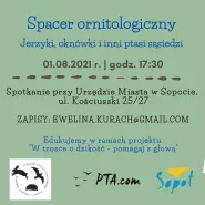 Spacer ornitologiczny w Sopocie