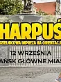 Harpuś - z mapą na Główne Miasto!